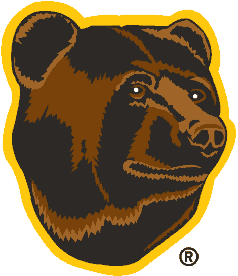 Boston Bruins 1995-2007 Alternate Logo t shirts DIY iron ons